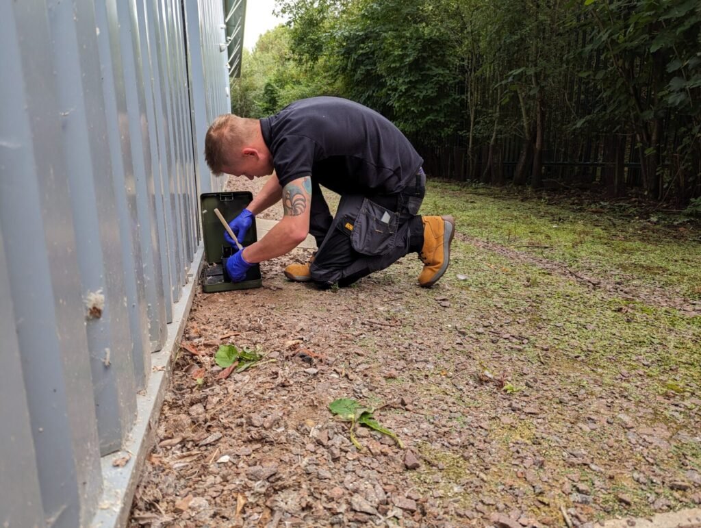 How Much Does Pest Control Cost?