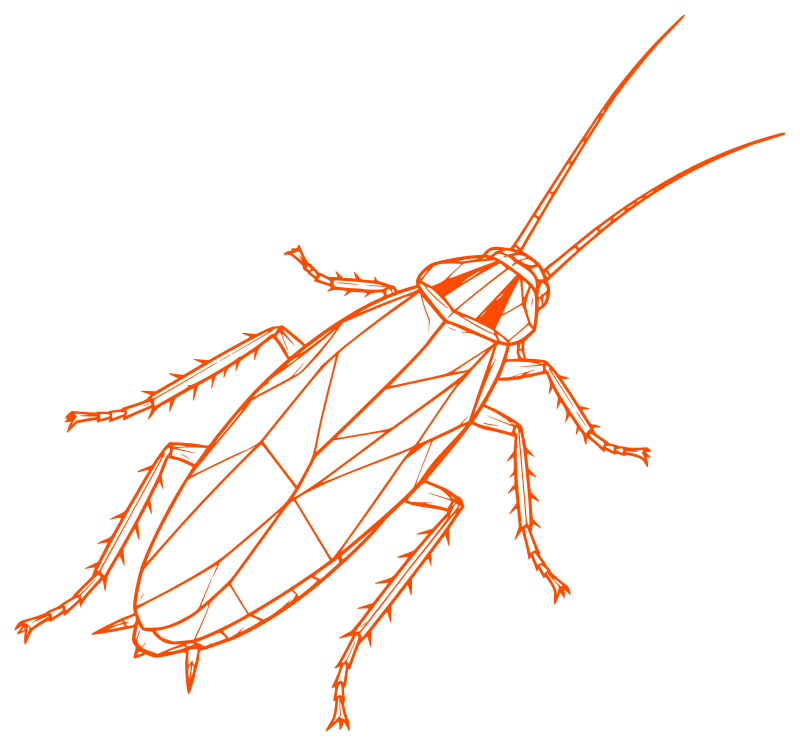 Illustration of a German cockroach — cockroach control in Northampton by Pest2Go