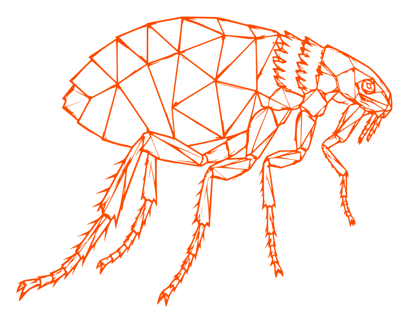 Illustration of a cat flea — flea treatment in Northampton by Pest2Go